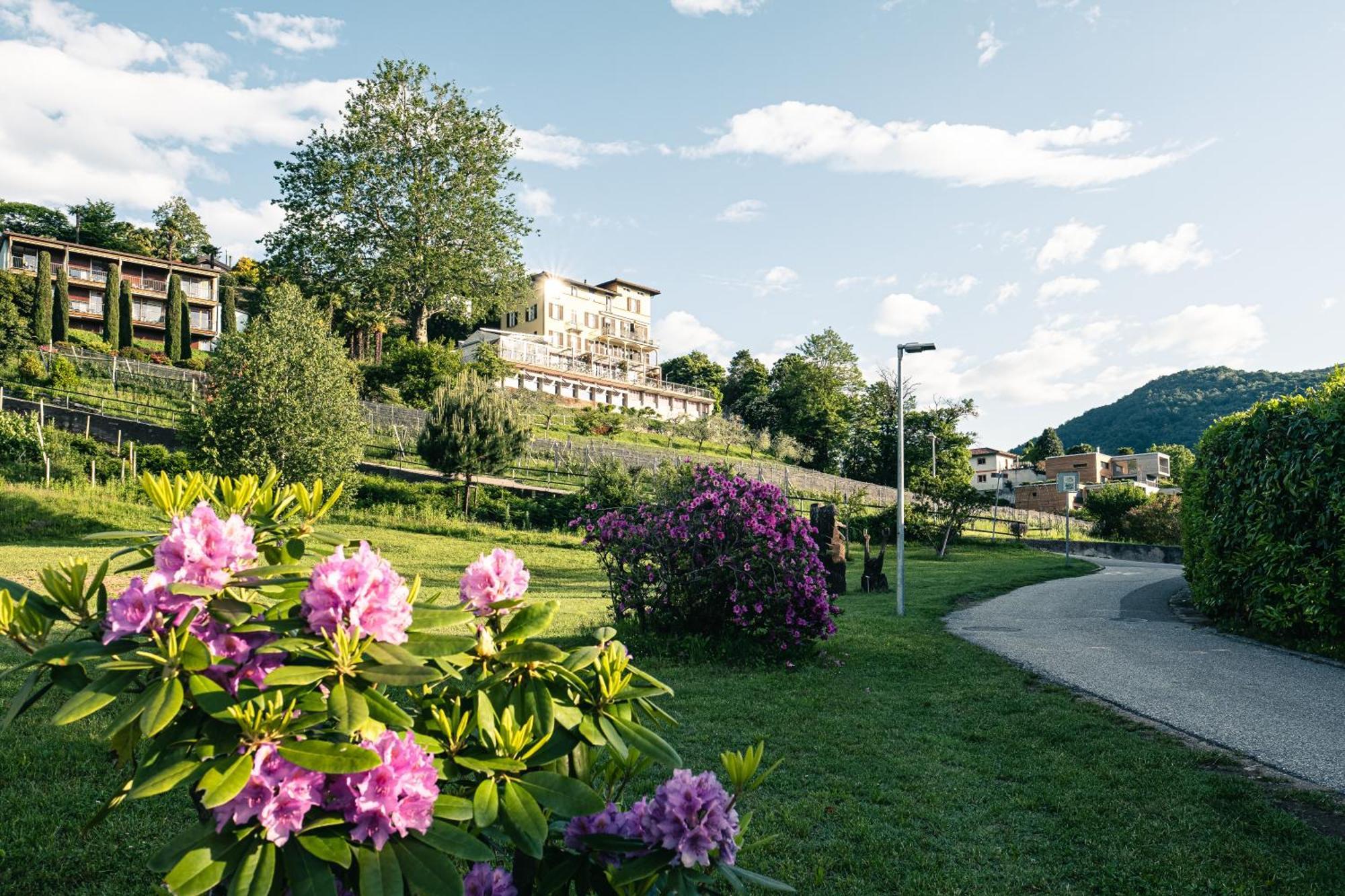 Paladina Hotel Pura Dış mekan fotoğraf